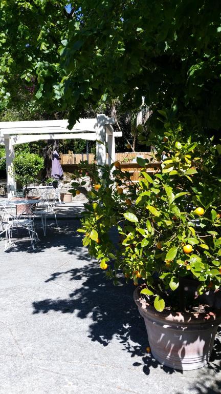 Le Clos du Loup - 4