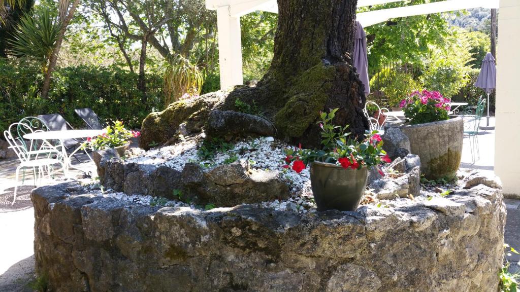 Le Clos du Loup - 2