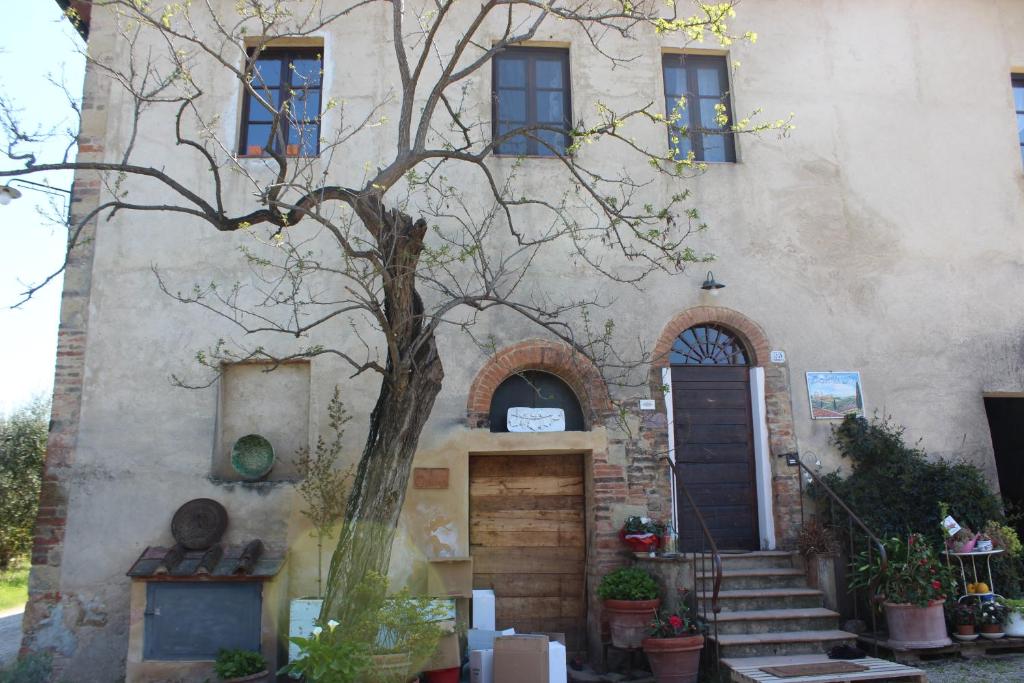 Bio Agriturismo Podere Pretoia - 5