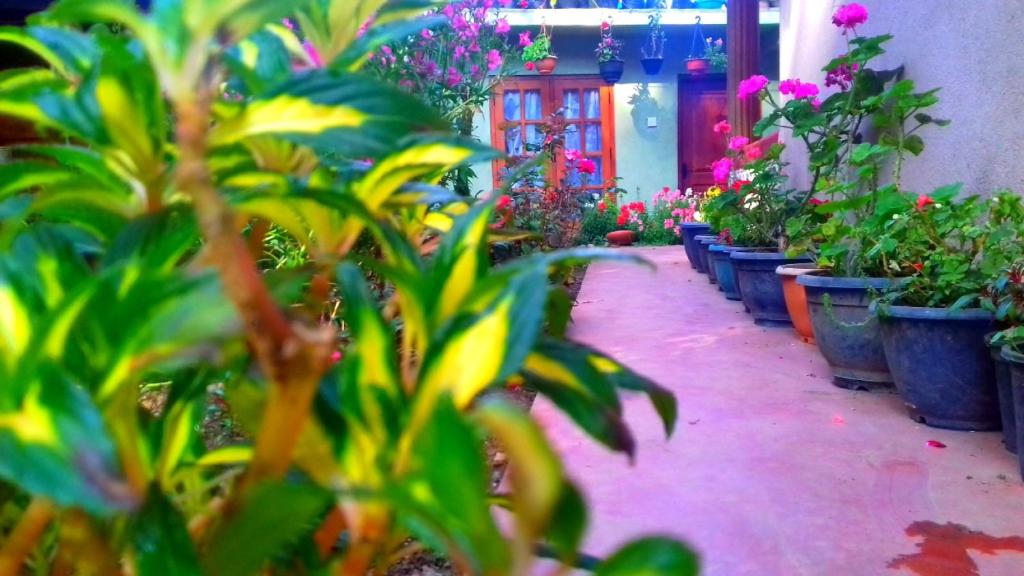 Moon Plain Inn — Hotel in Nuwara Eliya