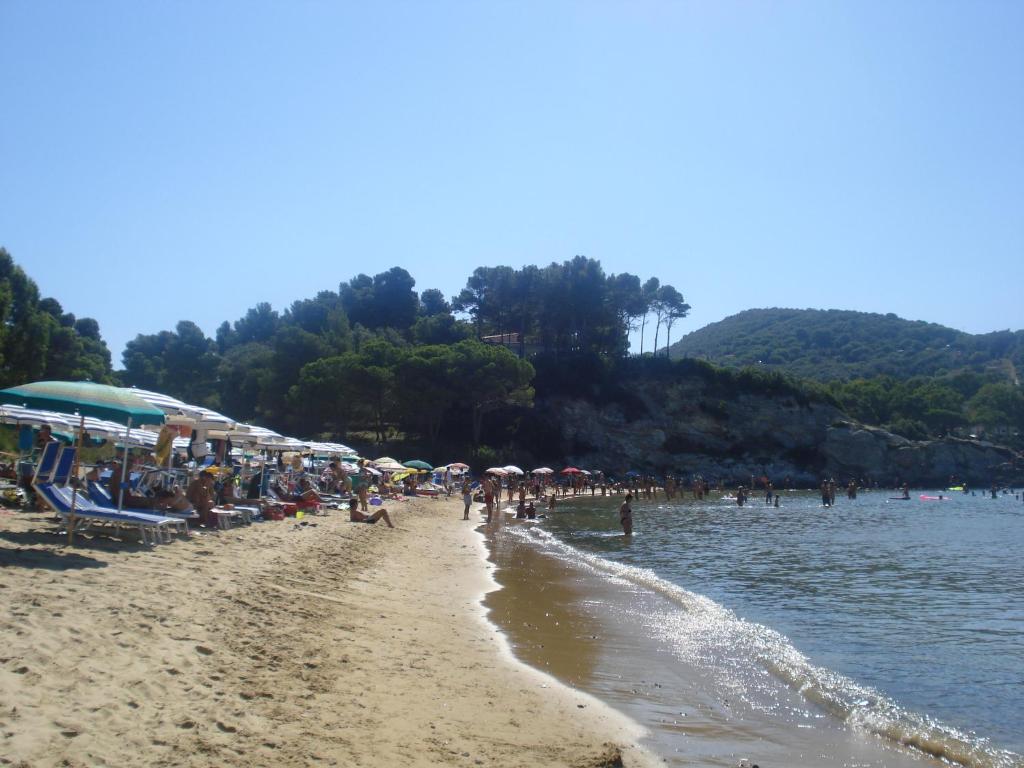 Appartamenti Gli Alberi - 2