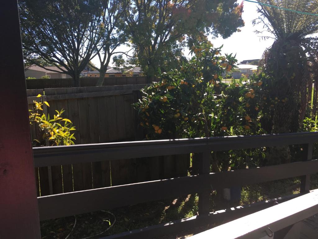 Agapantha Cottage Retreat photo
