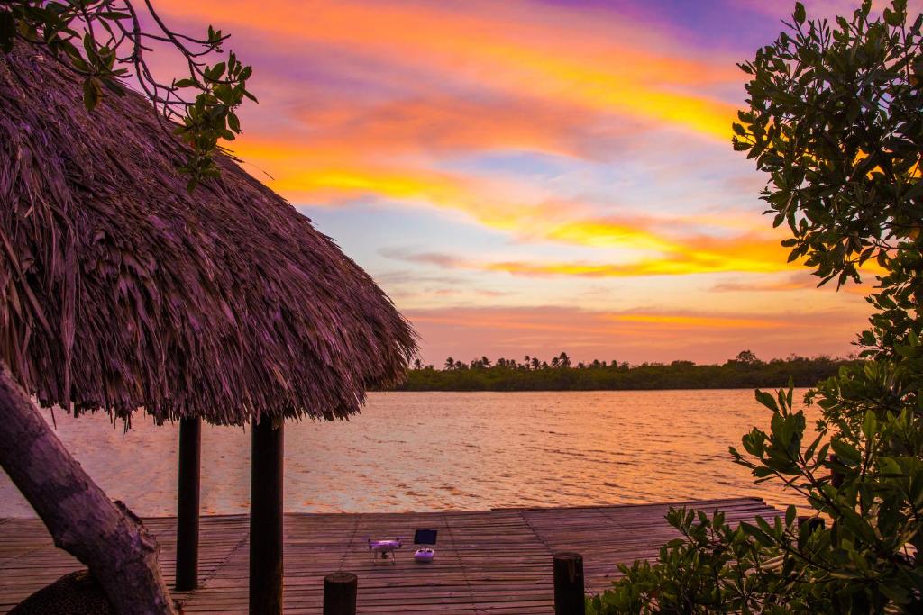 Surrounding environment