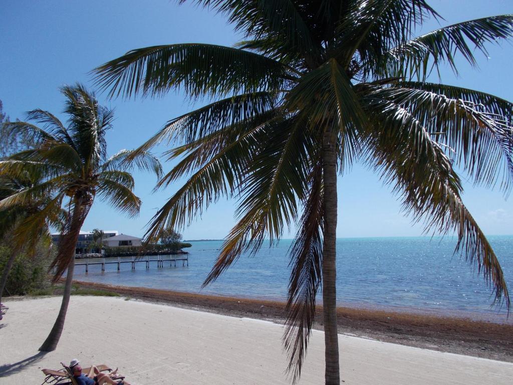 Matecumbe Resort photo