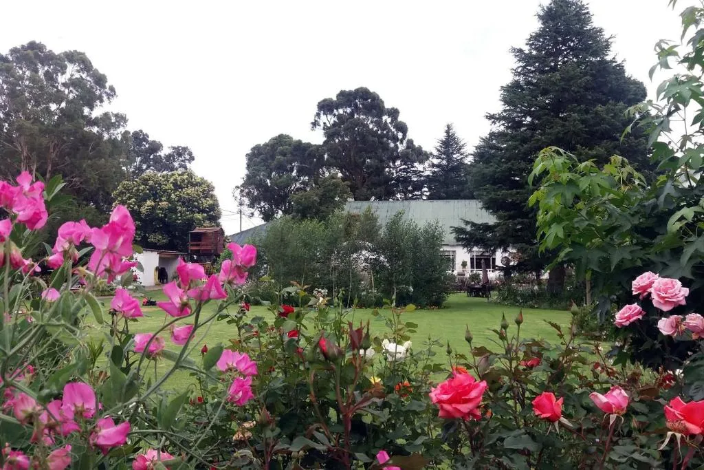 Green Lantern Inn, hotel in Van Reenen