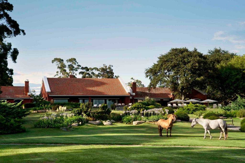 Estancia La Estrella photo