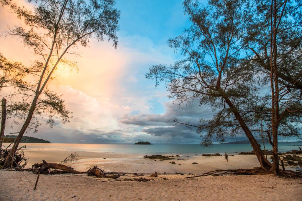 Nest Beach Club photo
