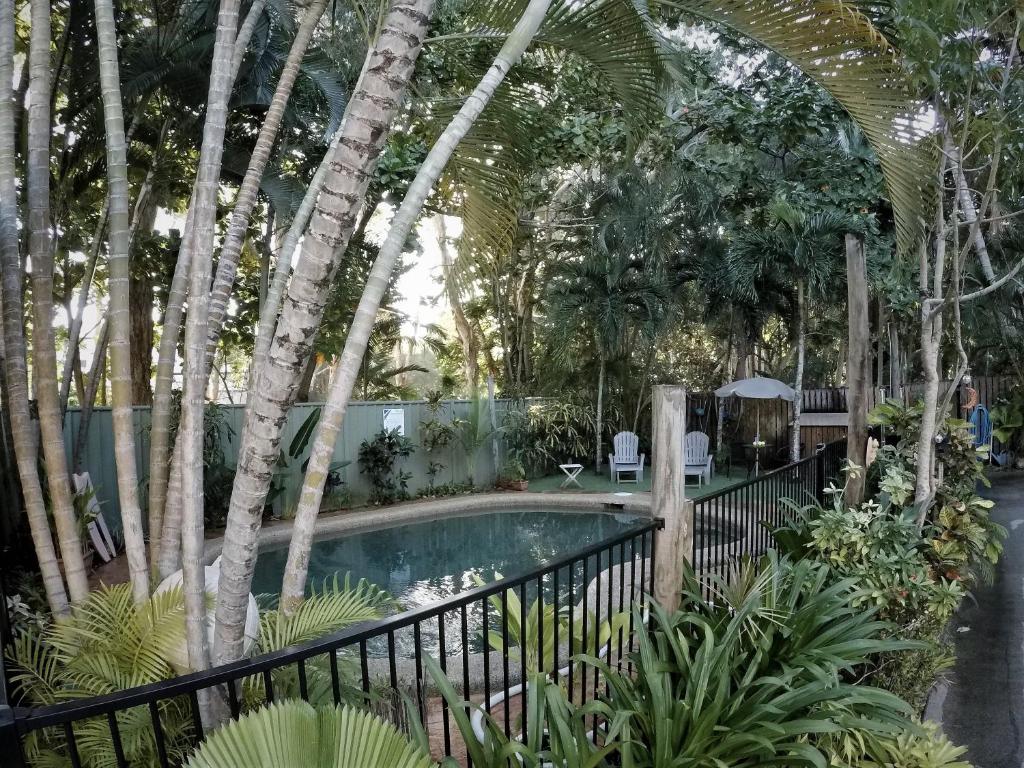 Ảnh 5