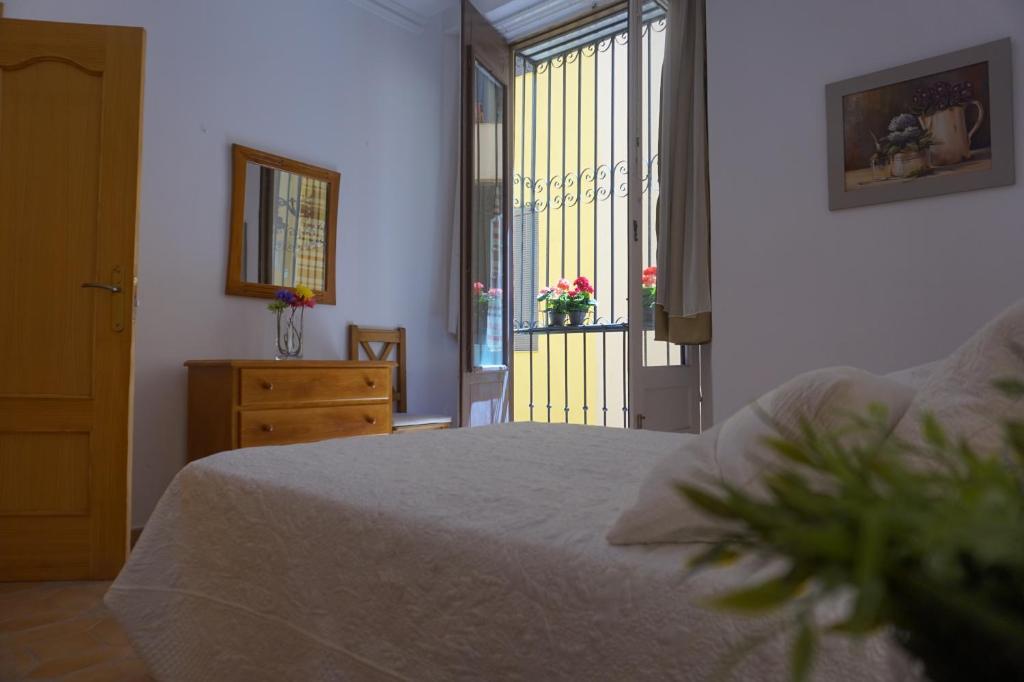 ApartamentosMalaga - 5