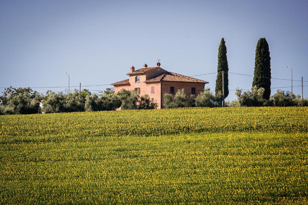 Villa Il Giardino di Diana photo