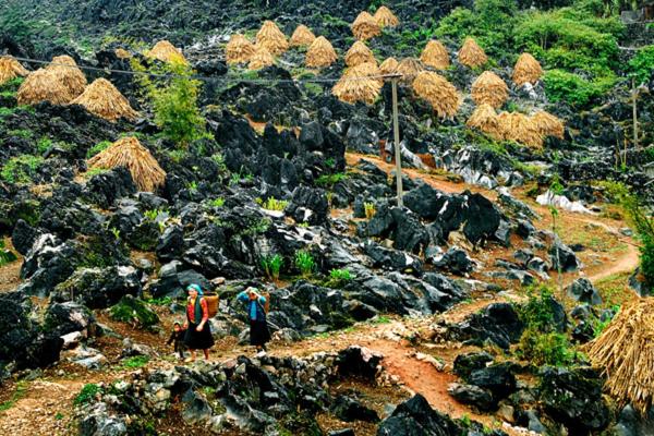 Khách sạn Hoàng Kim