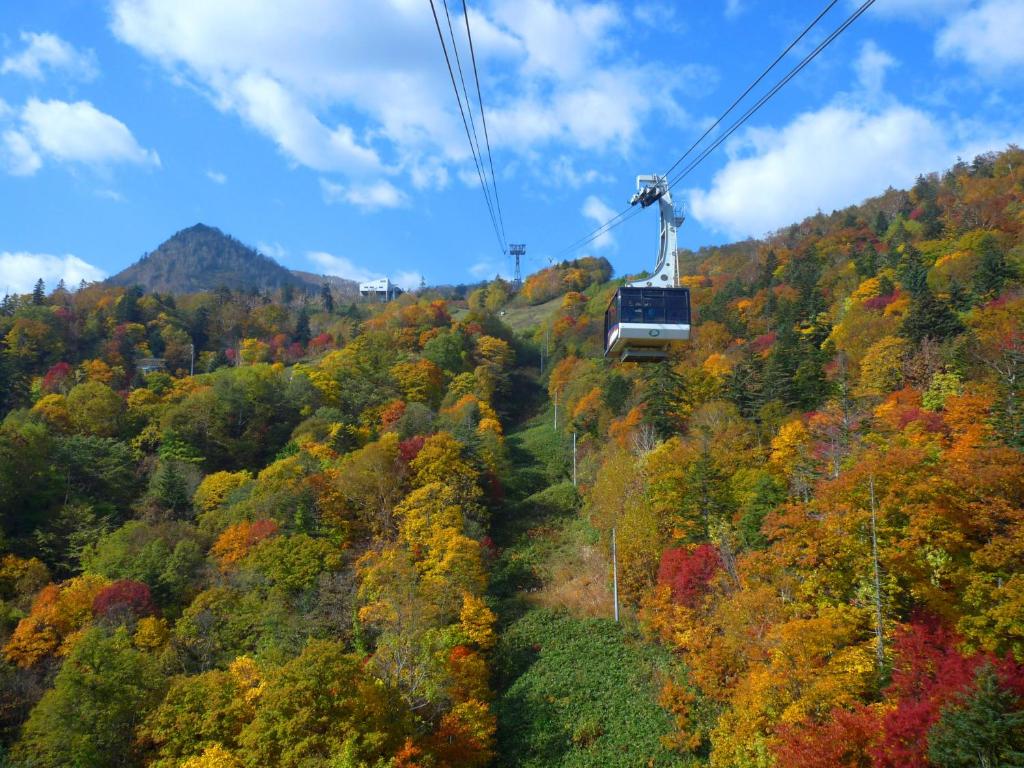 Activités à proximité