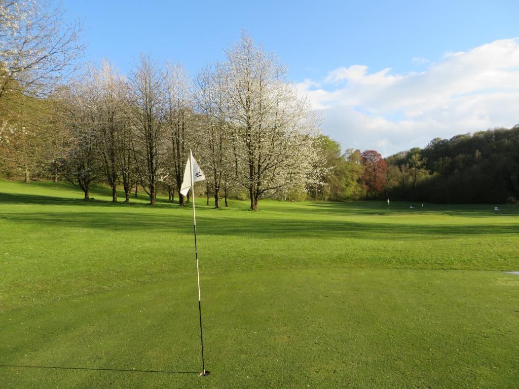 Golf & Hotel de Falnuee photo