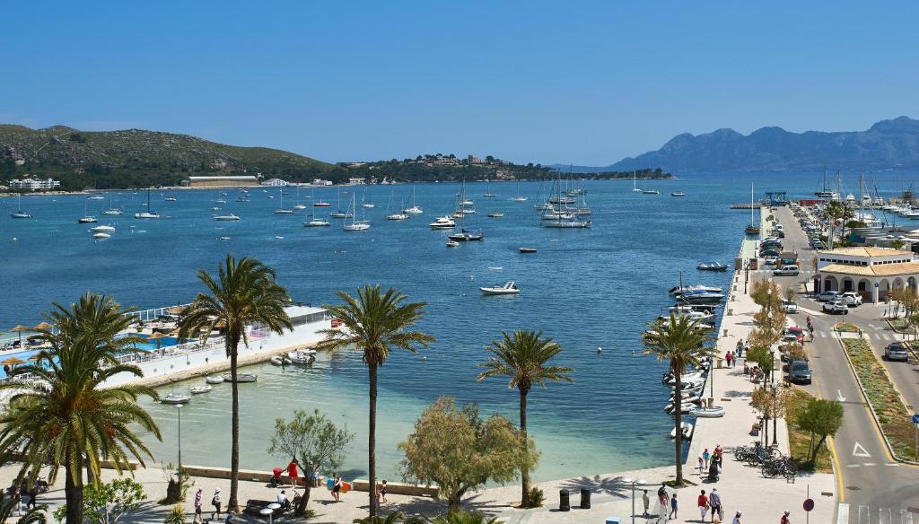 Eolo Affiliated by FERGUS — Beach in Pollenca, Balearic Islands