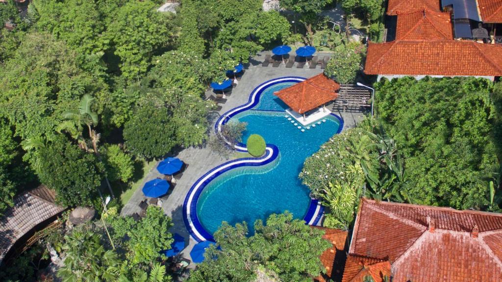 スイミングプール