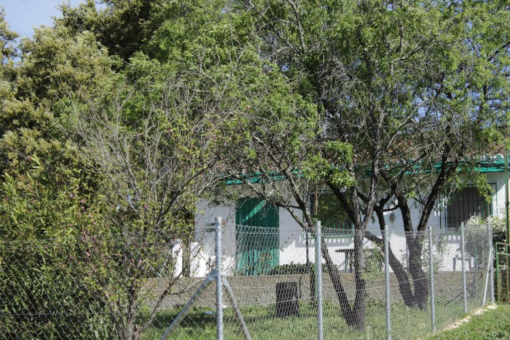 Casa Rural El Tejar photo