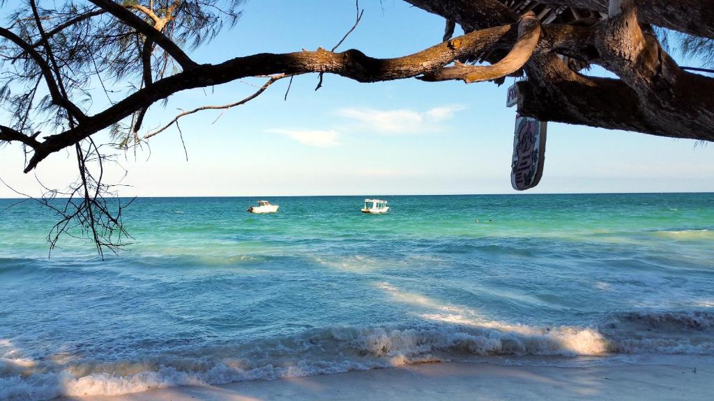 Jamboland-Diani photo