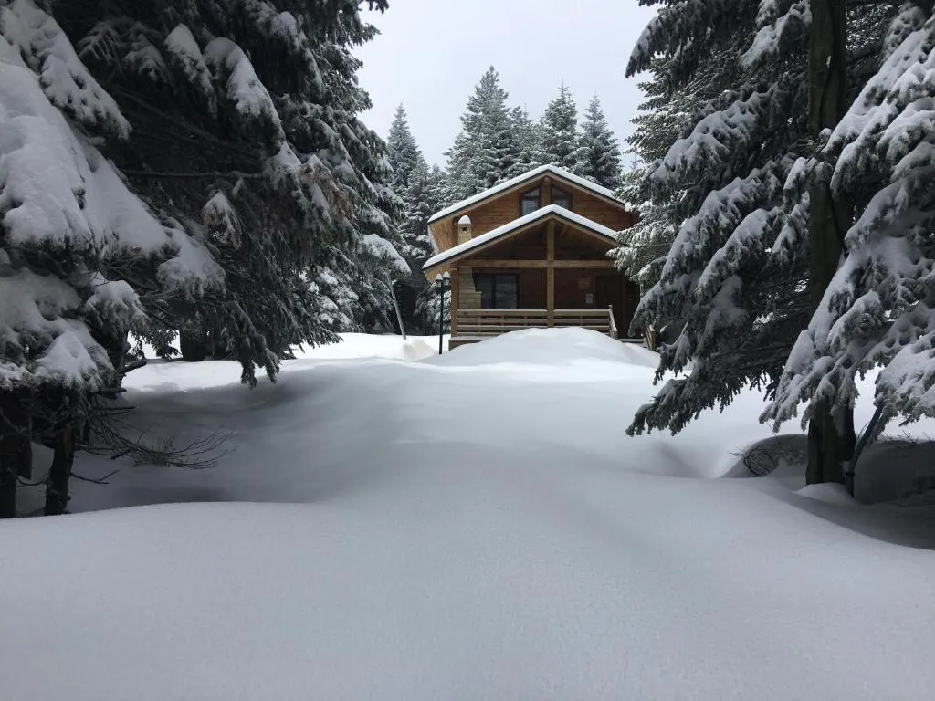 Uludag Orman Koskleri, hotel in Uludag
