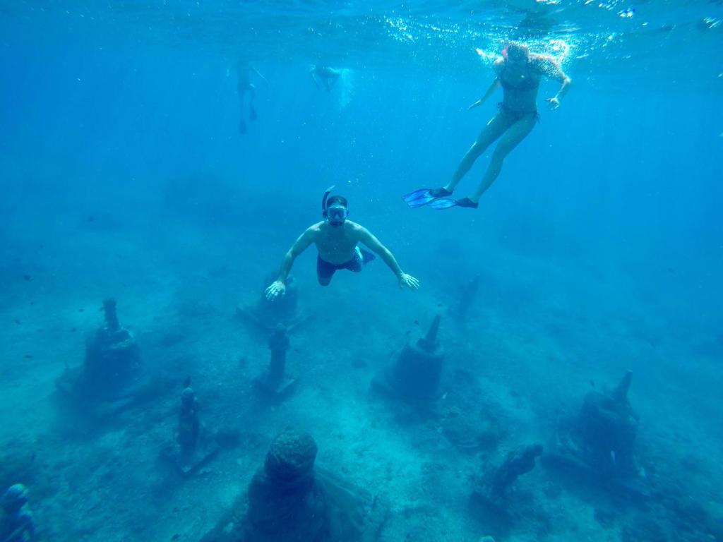 Sport og aktiviteter