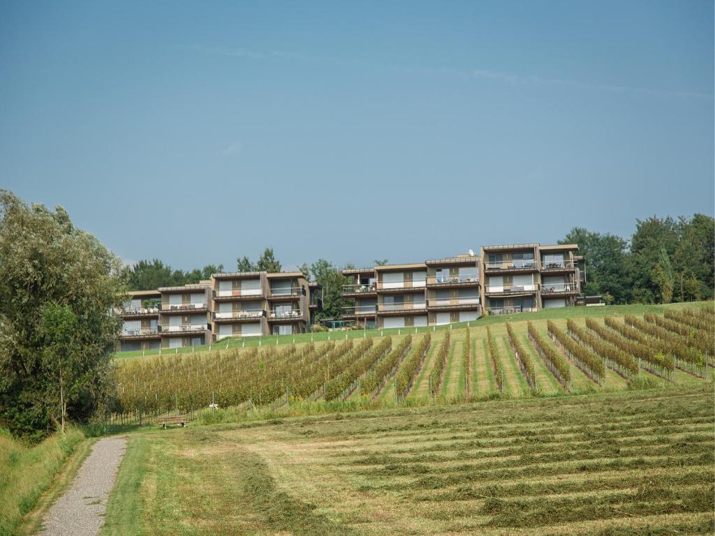 Wohnen im Wein - 2