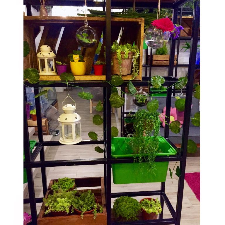 Shared lounge/TV area