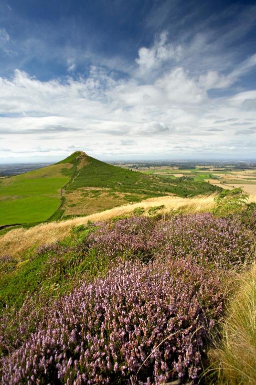 周辺観光スポット