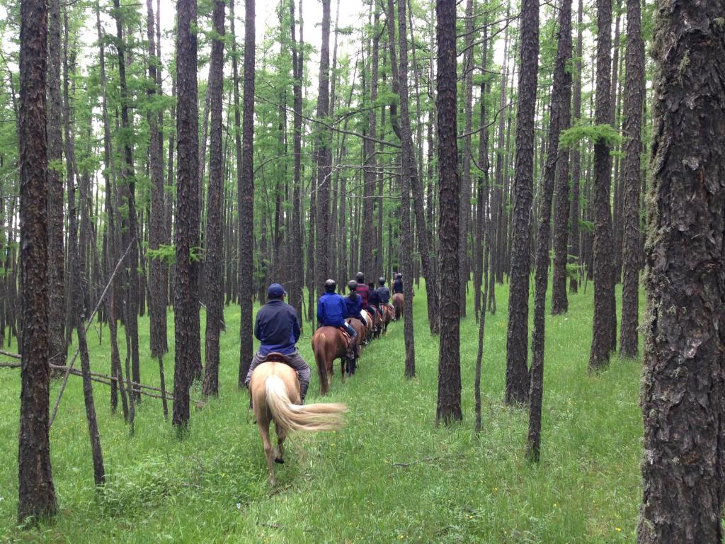 Nomad Horse Camp photo
