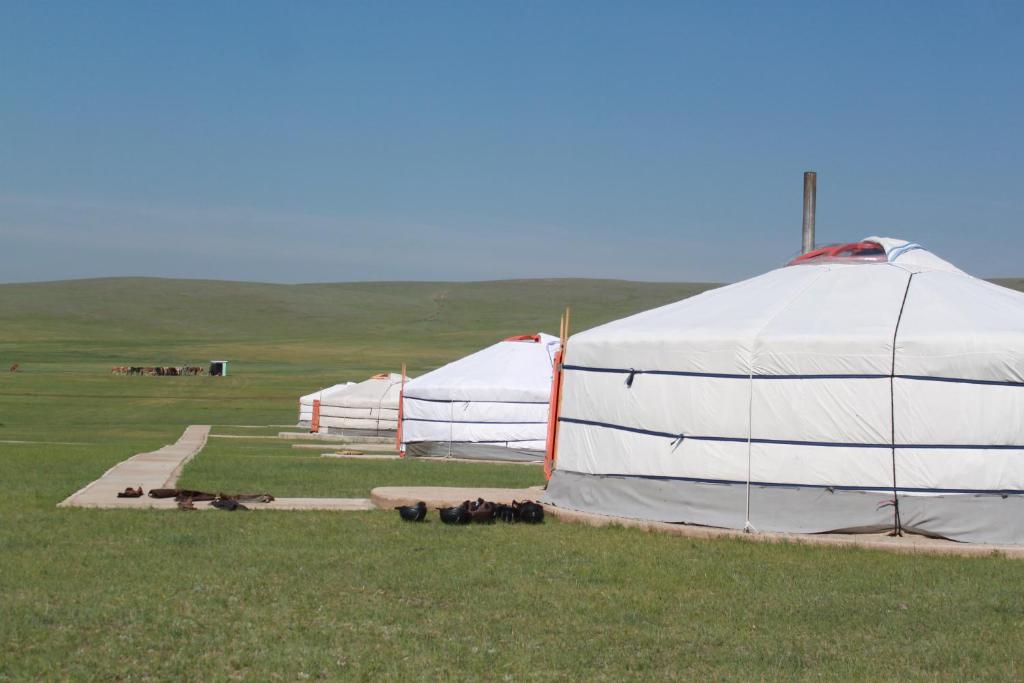 Nomad Horse Camp photo