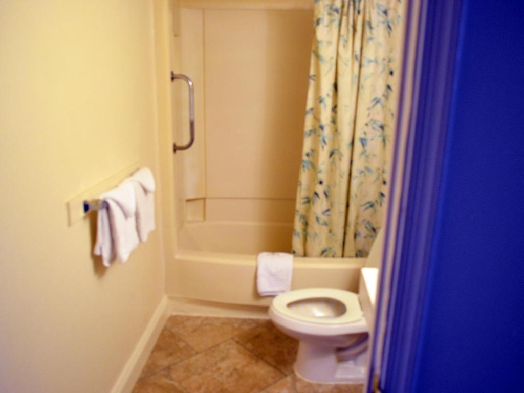 Cerca Del Mar Motel photo