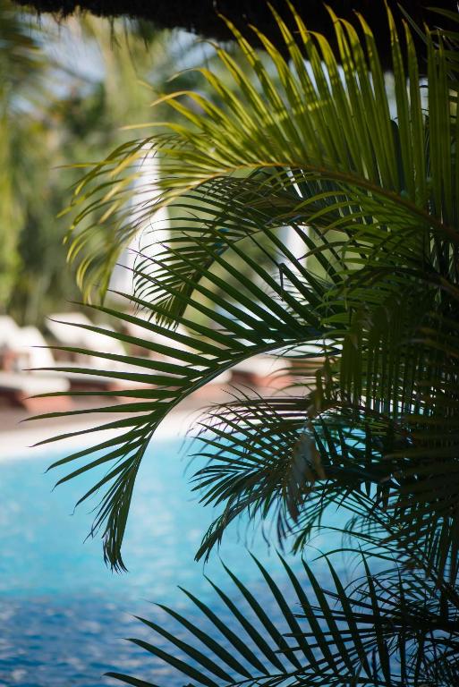 Campo Bahia Hotel Villas Spa photo