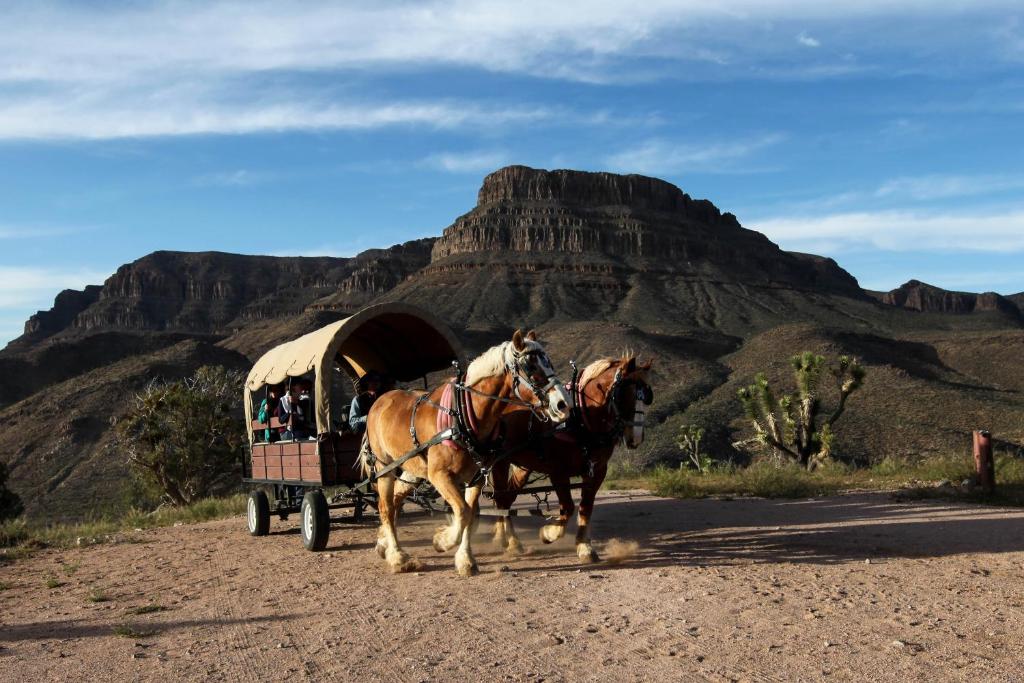 Grand Canyon Western Ranch photo