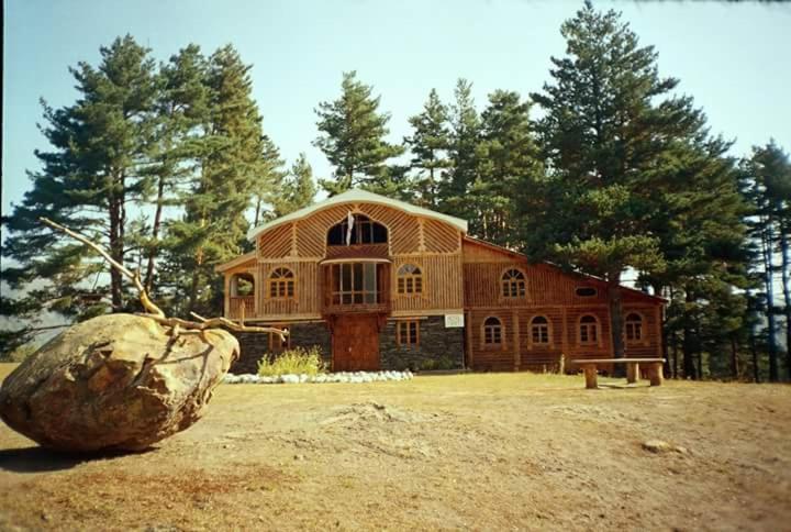 Hotel Tusheti photo