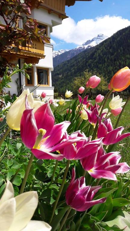 Landhaus Alpensonne - 4