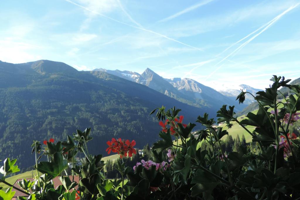 Himmenhof - 5