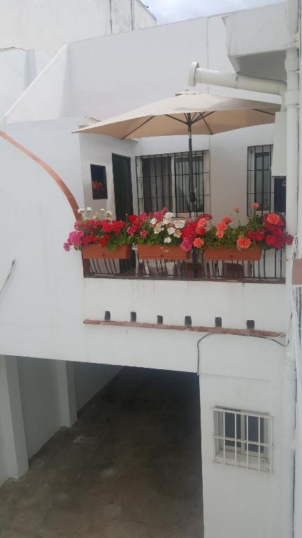 Pension Yna Holiday photo