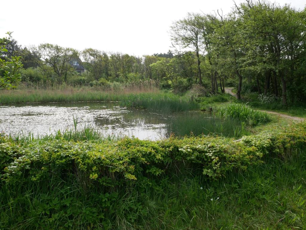 Surrounding environment