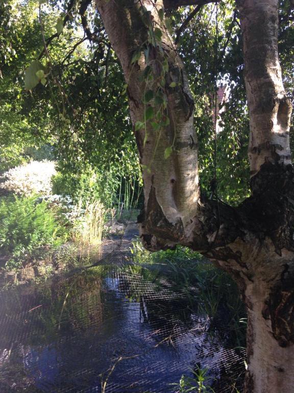 Surrounding environment