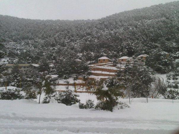 Surrounding environment