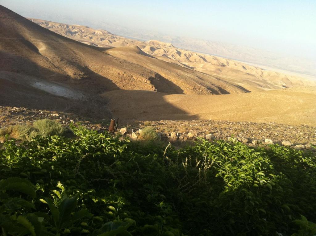 Surrounding environment