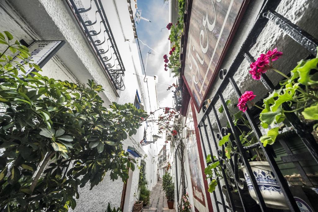 المنطقة المحيطة