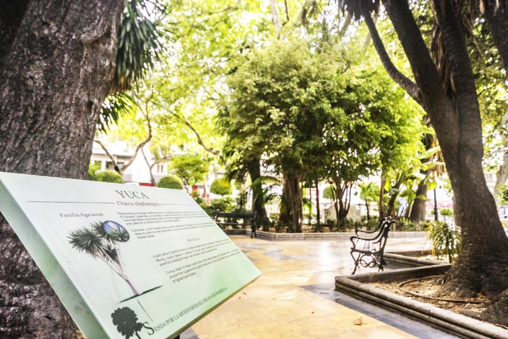 المنطقة المحيطة