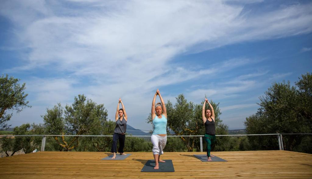 アクティビティ