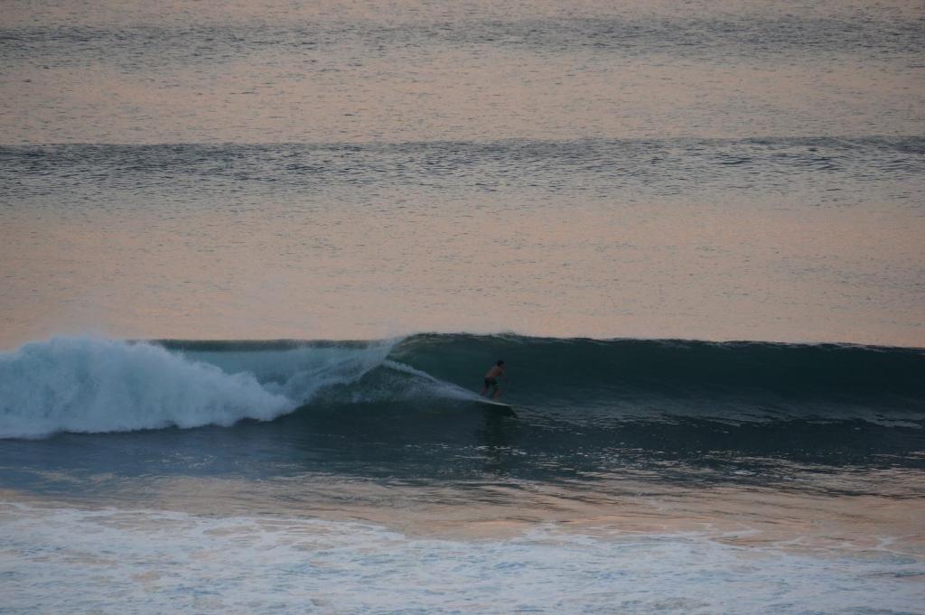 Willy Homestay photo