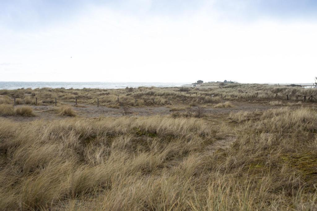 Surrounding environment