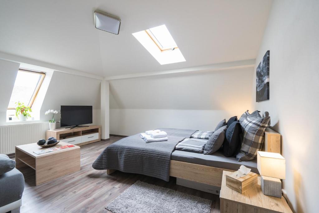 Cajkovskij Apartments Brno-jih