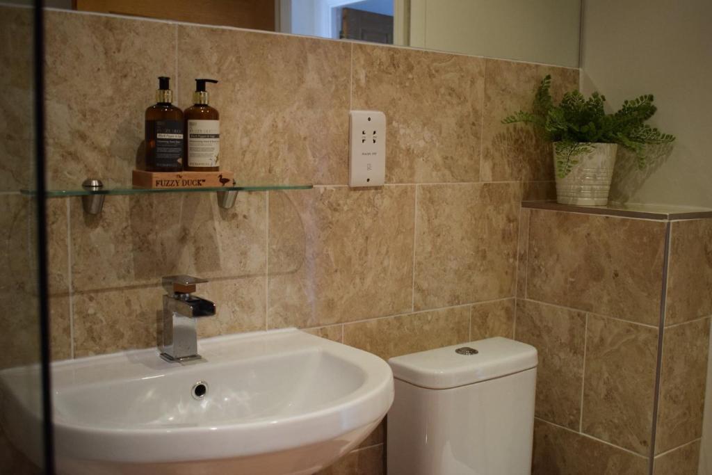 Luxury 2 bed Apartment photo