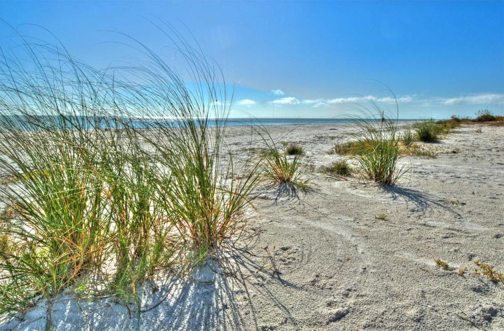 Seahorse Cottages - Adults Only photo