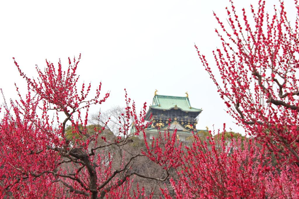 Nearby attraction