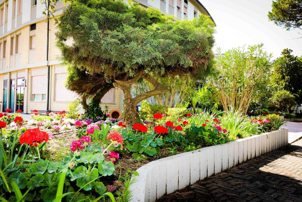 Hotel A Riolo Terme Italia Hotel A Riolo Terme Italia