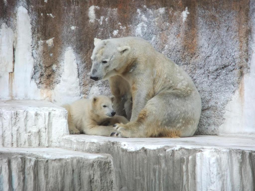 Nearby attraction